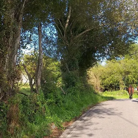 Gestiona2r - Casa En Centro * Colombres